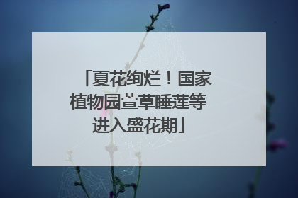夏花绚烂！国家植物园萱草睡莲等进入盛花期